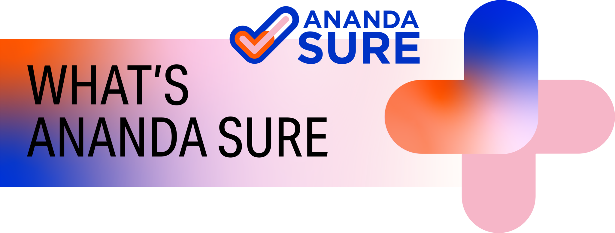 WHAT'S ANANDA SURE - ANANDA SURE