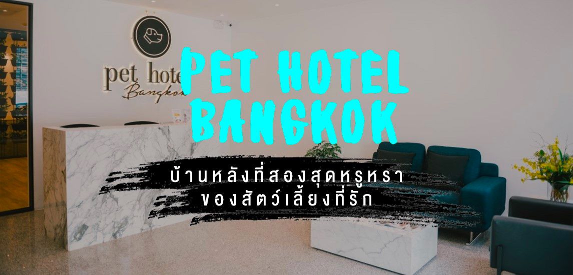 Pet Hotel Bangkok บ้านหลังที่สองสุดหรูหราของสัตว์เลี้ยงที่รัก
