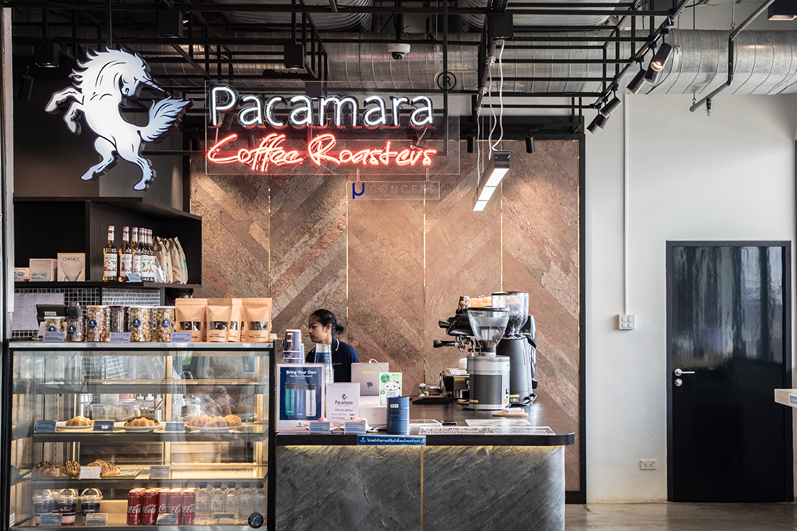 Pacamara coffee discount