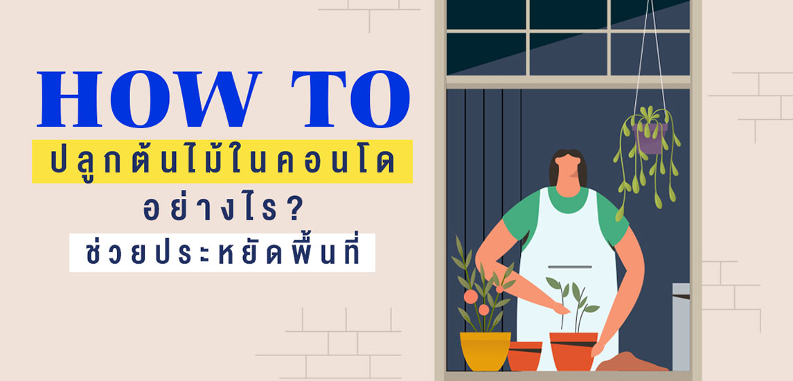 How to ปลูกต้นไม้ในคอนโดอย่างไร...ช่วยประหยัดพื้นที่