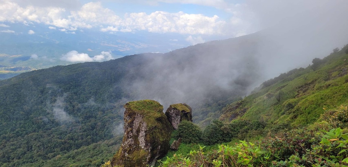 ดอยอินทนนท์