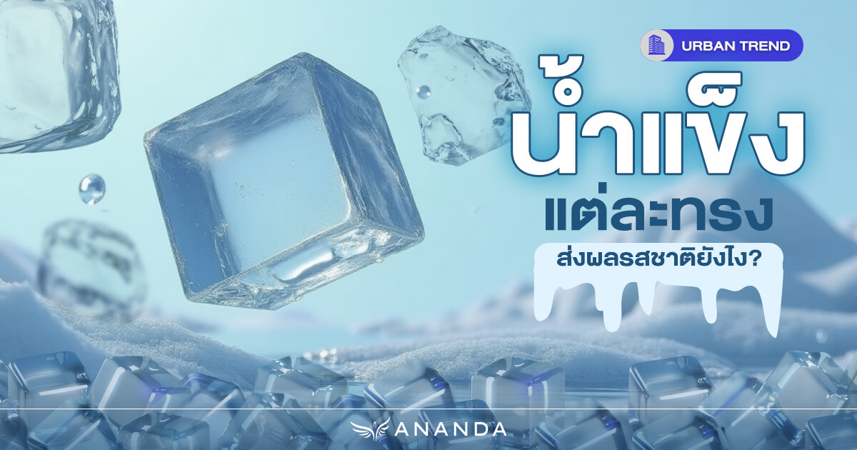 น้ำแข็งแต่ละทรง ส่งผลรสชาติยังไง?