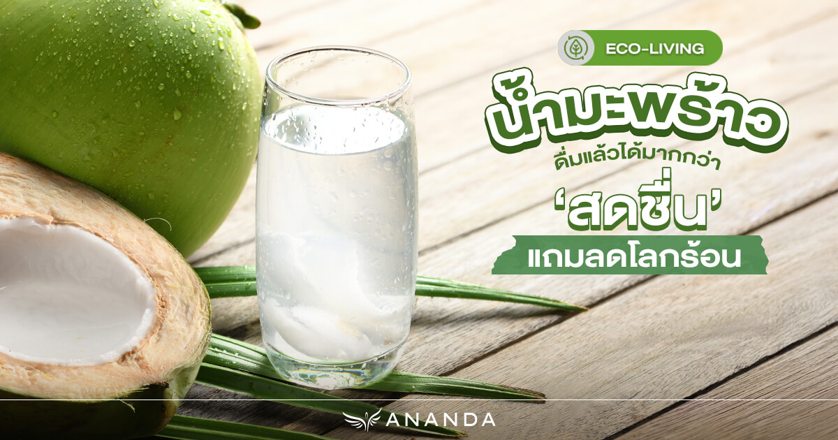 น้ำมะพร้าว ดื่มแล้วได้มากกว่าแค่สดชื่น! แถมลดโลกร้อน