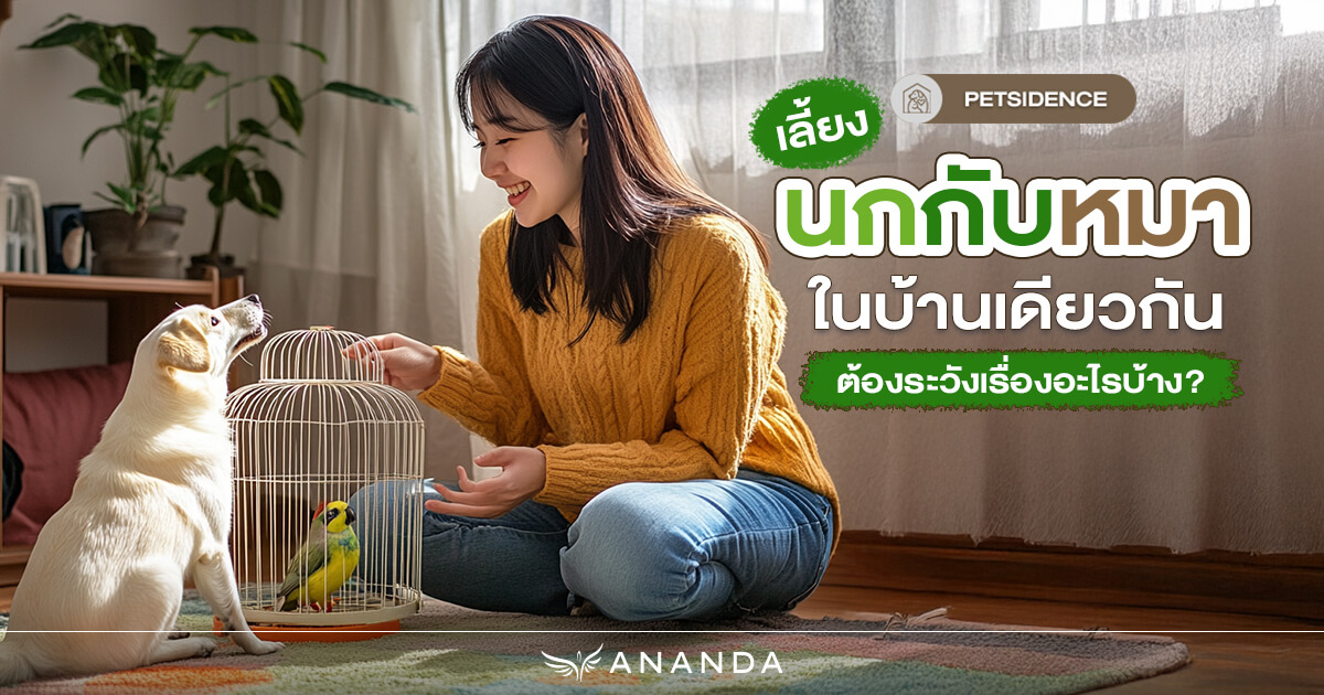 เลี้ยงนก กับ หมาในบ้านเดียวกัน ต้องระวังเรื่องอะไรบ้าง?