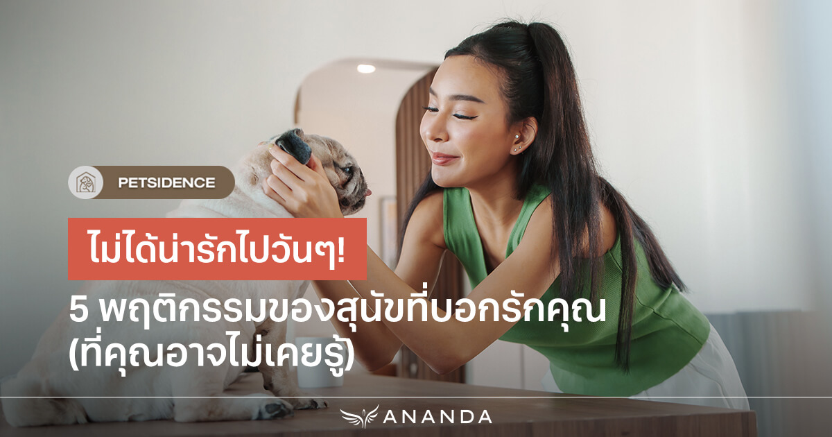 ไม่ได้น่ารักไปวันๆ! 5 พฤติกรรมของสุนัขที่บอกรักคุณ (ที่คุณอาจไม่เคยรู้)