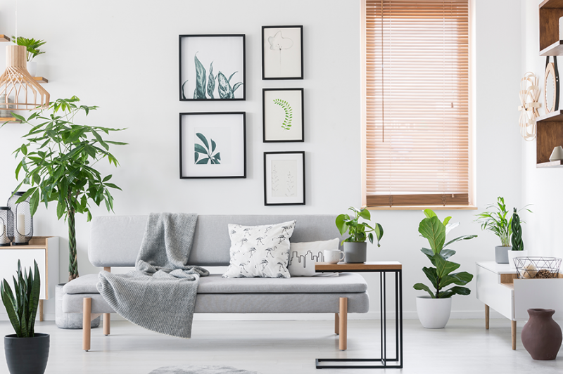 The Appeal of Scandi Interiors.