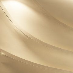 Image_1