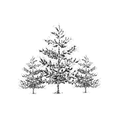 Image_1