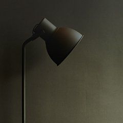 Image_1