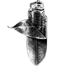 Image_1