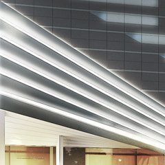 Image_1