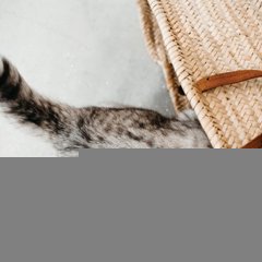 Image_1