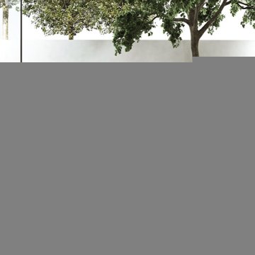 Image_2_1