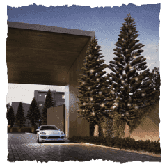 Thumb_image_4