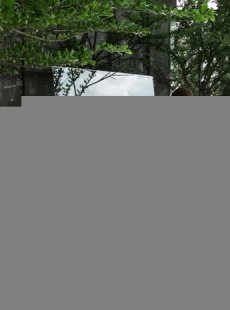 345x465-8