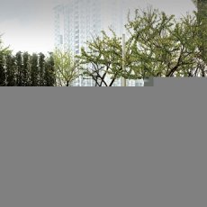 345x465-8