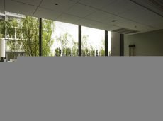 345x465-8