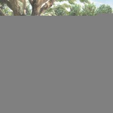 8_exterior_thumb